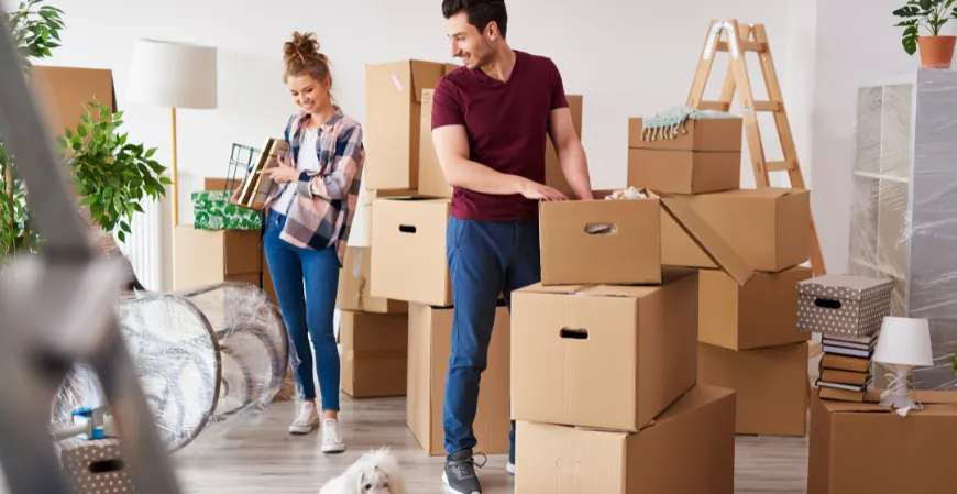 >Move-In/Move-Out Cleaning